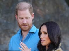 O encontro de Harry e Meghan com o monarca é uma “prova positiva” de que eles podem “entrar e sair” silenciosamente da Grã-Bretanha sempre que quiserem – zombando de todo o “drama” sobre sua segurança, argumenta Richard K.