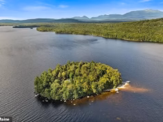 Esta ilha privada no Maine com uma cabana está à venda por um preço incrivelmente baixo