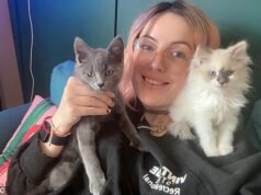 Grávida, mãe de dois filhos, cega e seu gato morto após envenenar seus animais de estimação com heroína – enquanto a polícia prende uma mulher de 32 anos