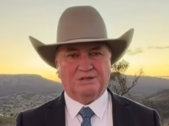 Barnaby Joyce reitera a exigência de Pauline Hanson de deportação em massa – enquanto o Partido Trabalhista concorda em um ponto-chave