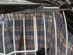 Macaco enjaulado escondido em saco de roupa suja abandonado em ônibus de Londres