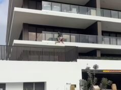 Momento incrível, menino de 12 anos arrisca uma escalada perigosa para resgatar cachorrinho preso na borda do apartamento