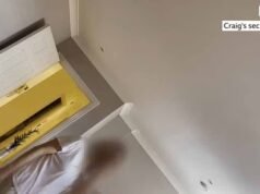 Gangues de bordéis pop-up assumem propriedades alugadas: momento em que o proprietário encontra prostitutas no apartamento de St Albans enquanto a rede criminosa falsifica documentos de identidade para passar cheques de aluguel