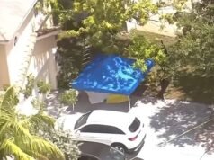 Tragédia depois que uma mãe de bom coração, de 56 anos, decidiu subir em uma mangueira em seu jardim para colher frutas e compartilhar com os vizinhos