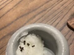 Chef famoso com estrela Michelin enfrenta prisão com granulado doce com ANTS