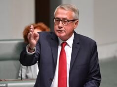 Anthony Albanese tenta minimizar o aumento de popularidade de One Nation … O presidente trabalhista lhe dá um choque de realidade