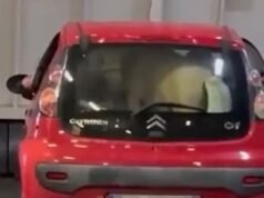 Turistas chocados ao ver um pônei se espremer no porta-malas de um pequeno Citroen C1 para uma travessia de balsa de uma hora