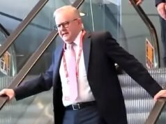 Anthony Albanese quase cai e solta uma bomba F quando a escada rolante para repentinamente em um momento estranho que ofusca o discurso.