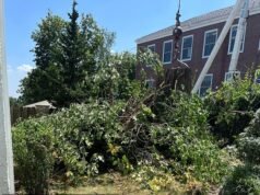 O proprietário ficou em chamas depois que um cirurgião arborista entrou em seu jardim e derrubou um majestoso carvalho de 150 anos enquanto trabalhava em uma escola próxima, afirma o processo.