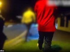 Homem enfrenta 43 acusações por criar e exibir publicamente pôsteres falsos de IA de oito mulheres