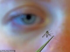 A Organização Mundial da Saúde alertou sobre o vírus mortal do Nilo Ocidental, que está se espalhando rapidamente em países europeus populares entre os turistas britânicos.
