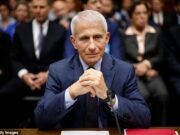 Os diários secretos do Dr. Fauci contavam apenas metade da história. Agora, membros da Casa Branca expõem a REAL ‘diva da mídia’… e as palhaçadas humilhantes e obcecadas pela fama que ele deixou de fora