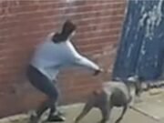 Crianças de seis e 11 anos foram levadas às pressas para o hospital após serem atacadas por um cachorro no parquinho: Polícia divulga CCTV