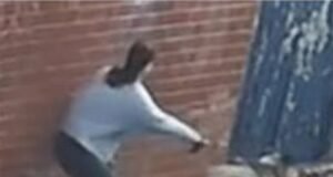 Crianças de seis e 11 anos foram levadas às pressas para o hospital após serem atacadas por um cachorro no parquinho: Polícia divulga CCTV