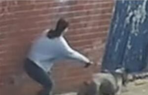 Crianças de seis e 11 anos foram levadas às pressas para o hospital após serem atacadas por um cachorro no parquinho: Polícia divulga CCTV