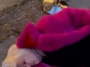 Influenciador ‘doente’ e seus amigos que zombaram do assassinato de Ann Widdecombe por rirem de uma exibição de arte com estranha semelhança com o político assassinado