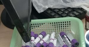 O CO2 no sangue humano aumenta com a atmosfera