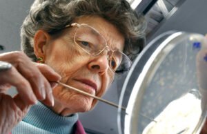 Mary-Dale Chilton morre aos 87; Ajudou a criar as primeiras plantas geneticamente modificadas