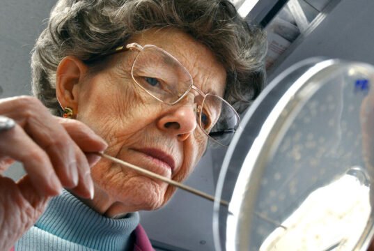Mary-Dale Chilton morre aos 87; Ajudou a criar as primeiras plantas geneticamente modificadas