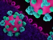 O HIV pode converter células T de ajudantes em assassinas