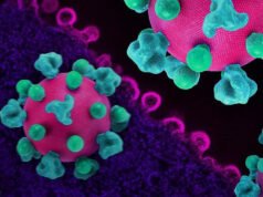 O HIV pode converter células T de ajudantes em assassinas