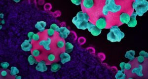 O HIV pode converter células T de ajudantes em assassinas
