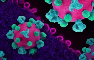 O HIV pode converter células T de ajudantes em assassinas