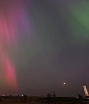 1783008122_0x0.jpg