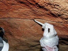 Pela primeira vez, os cientistas recuperaram ADN antigo deixado nas paredes das cavernas e na arte rupestre, abrindo uma nova forma de estudar as pessoas que criaram a arte pré-histórica há milhares de anos.