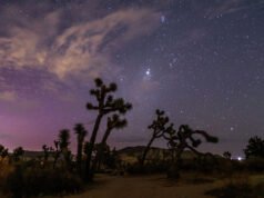 A chuva de meteoros Perseidas começará esta noite. Aqui estão informações sobre como visitar a Califórnia