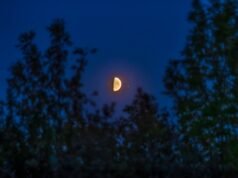 Conheça duas luas entre as estrelas mais brilhantes do verão: o céu noturno desta semana