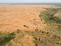 Algo estranho está acontecendo com as 66 bilhões de árvores plantadas dentro da grande muralha da China