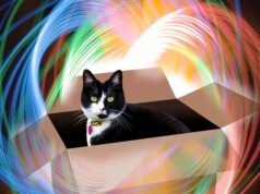 O gato de Schrödinger ganha uma ninhada de novos irmãos estranhos em uma grande descoberta quântica