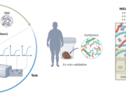 Projeto de IA de microbiomas intestinais – Nature