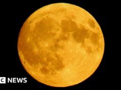 Buck Moon ilumina os céus de Devon e Cornualha – BBC