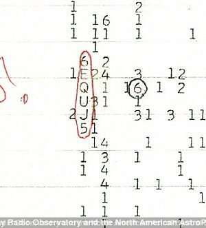 46F8F6FD00000578-5143991-image-a-45_1512397908835.jpg