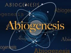 Palavra Científica do Dia: Abiogênese
