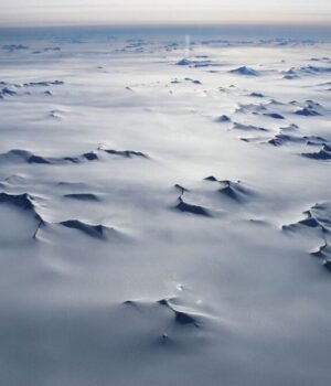 Antarctica-1200x675.jpg