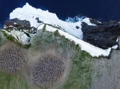 Os cientistas observam a Antártida do ar. O que eles viram os preocupou