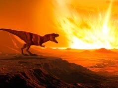 A rocha que matou os dinossauros era um dos tipos mais raros do sistema solar – o que a tornou ainda mais mortal: Alerta Científico