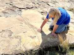 Família de Newcastle ‘chocada’ com raro vandalismo de pegadas de dinossauros