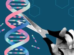 A equipe usa AlphaFold AI para redesenhar proteínas de edição de genes para torná-las mais seguras