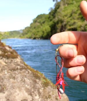 GraukeO-dangling-bait.jpg