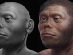 Este ‘hobbit’ – é assim que os ancestrais humanos viviam em uma ilha com dragões de Komodo