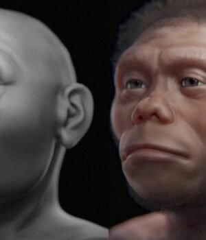Homo-floresiensis-facial-approximation-1200x675.jpg