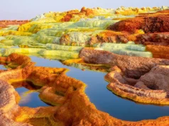 Os organismos que vivem nos lugares mais difíceis da Terra