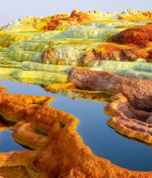 ImageGallery_Extremophiles-crWysiati_Alamy-Social.webp