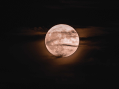 Em Fevereiro de 1966, a sonda soviética Luna 9 saltou através de um mar tempestuoso num airbag e desdobrou-se como uma flor metálica, e em poucas horas um observatório de rádio britânico interceptou o seu sinal de imagem e divulgou as primeiras imagens da superfície lunar antes de Moscovo terminar de fazer a sua própria cópia.