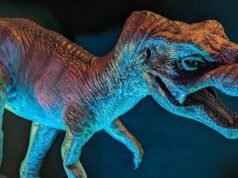 Descoberta ‘extintamente rara’: filhotes de T. Rex são menores que um gato e nascem às dúzias: Alerta Científico