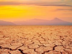 A vida na Terra ainda tem cerca de 1,8 mil milhões de anos – mas a vida pode evoluir para viver mais tempo, conclui estudo